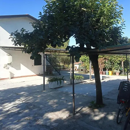 Nonna Piera Marina Di Carrara