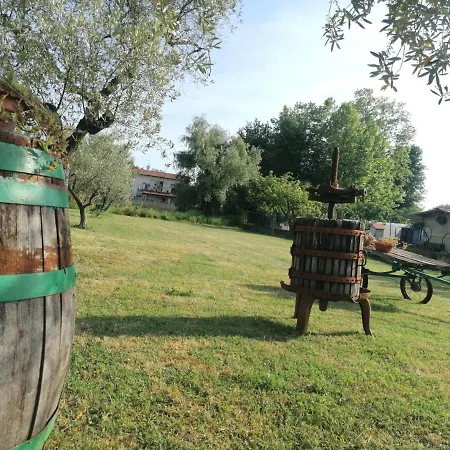 Bed & Breakfast Nonna Piera