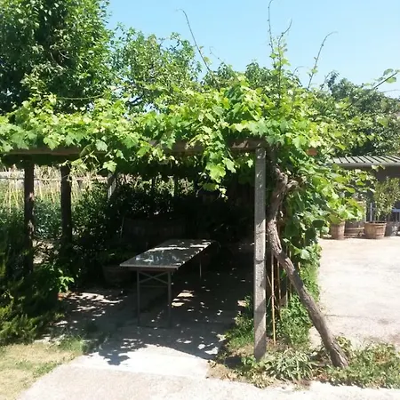 Nonna Piera Bed & Breakfast Marina Di Carrara