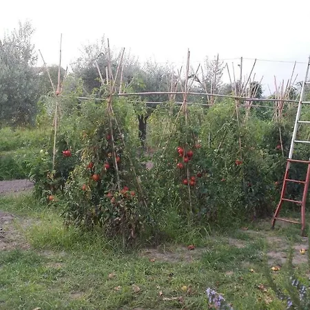 Nonna Piera *