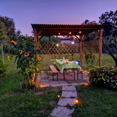 Nonna Piera Marina Di Carrara