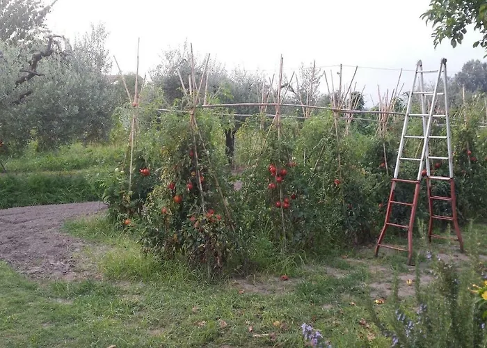 Nonna Piera 3*